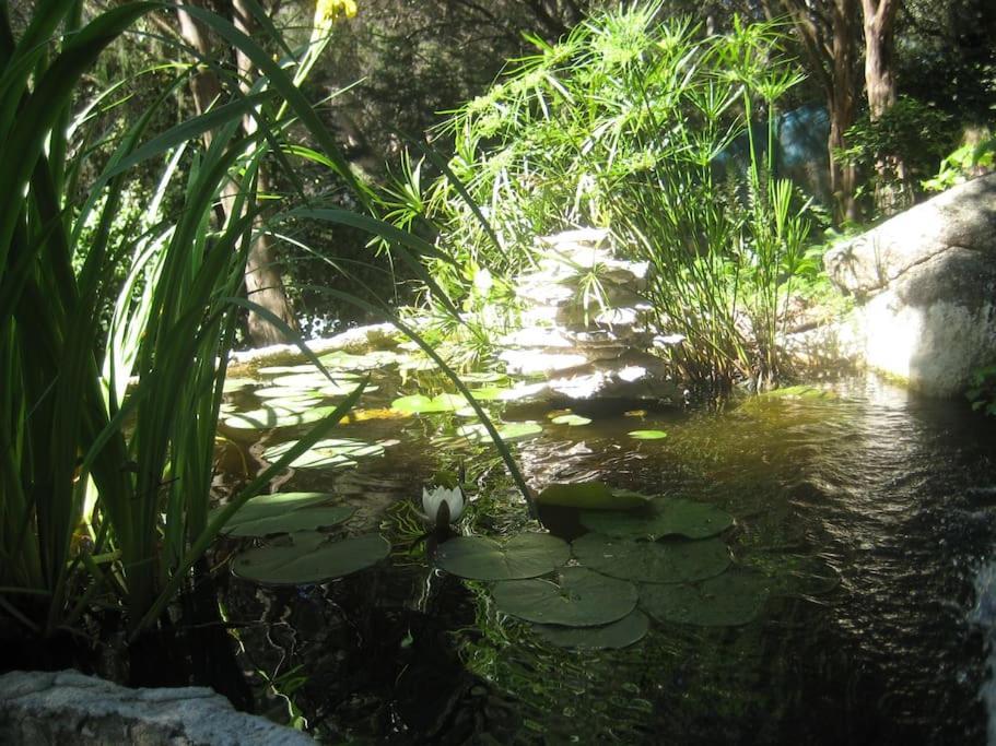 La Rocalla del Tiétar Villa Sotillo de la Adrada Exterior foto