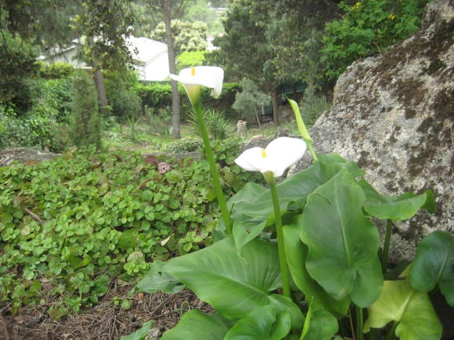 La Rocalla del Tiétar Villa Sotillo de la Adrada Exterior foto
