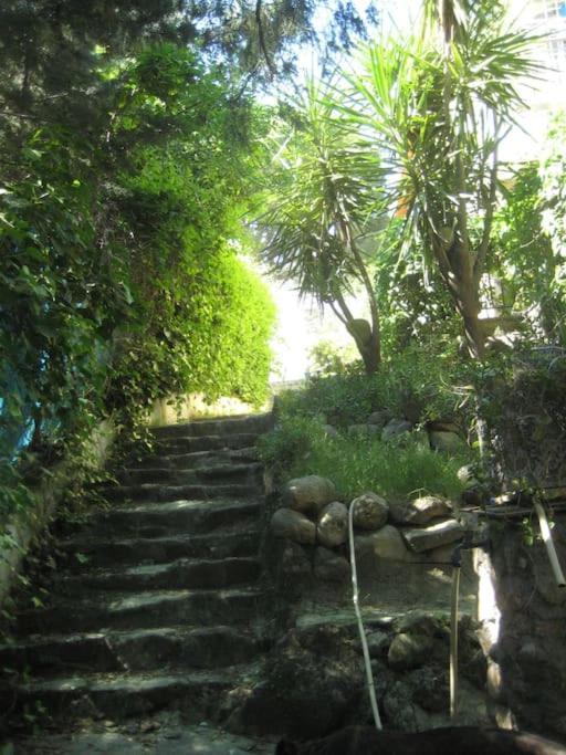 La Rocalla del Tiétar Villa Sotillo de la Adrada Exterior foto